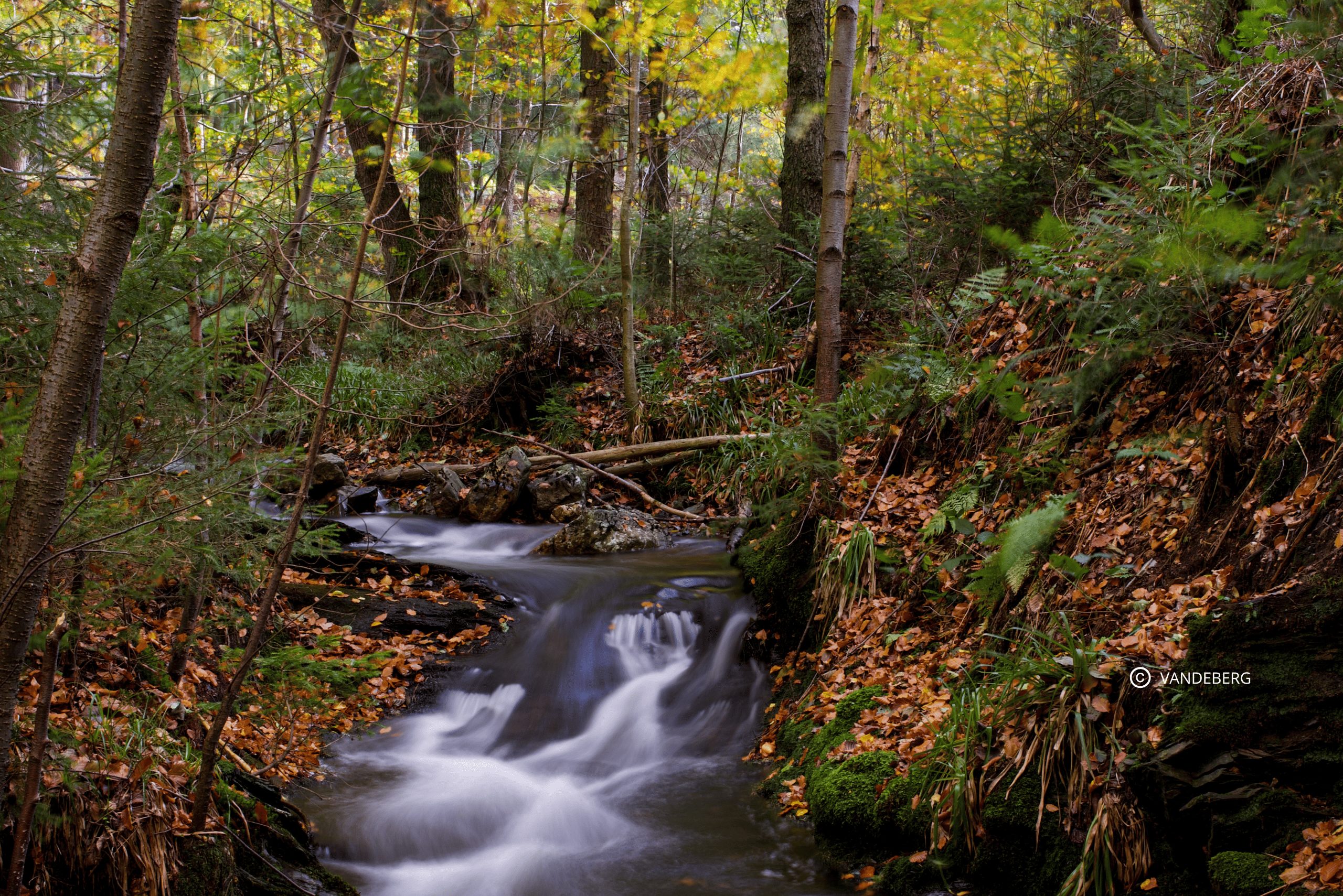 Commune de Jalhay et son paysage en automne